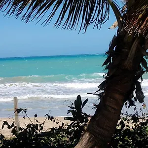ivbb-beach-studio.top-hotels-puertorico.com/